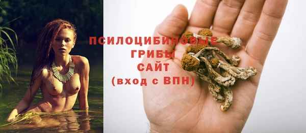 дмт Армянск