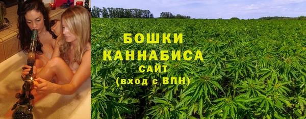 гидра Арсеньев