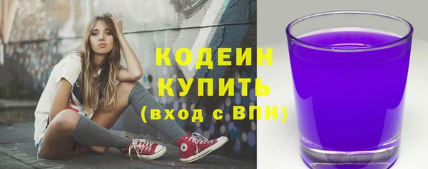 гидра Арсеньев