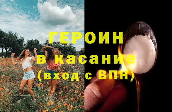 гидра Арсеньев
