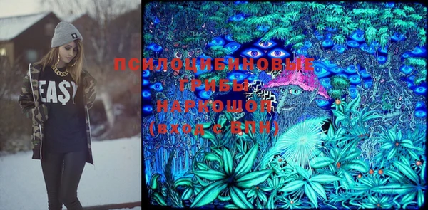 дмт Армянск