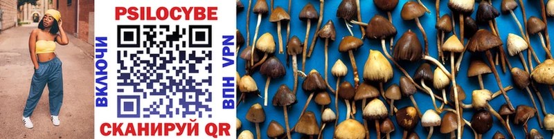 Галлюциногенные грибы Cubensis  Бердск 