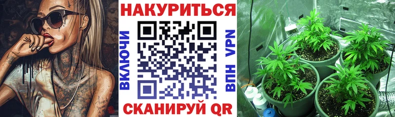 Канабис ГИДРОПОН  как найти закладки  даркнет официальный сайт  Бердск 